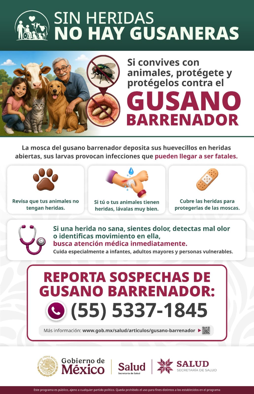 Gusano Barrenador